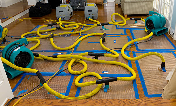 Professional Flood Damage Restoration technician working in Spring Lake, MI